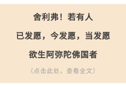 圣经中提到信心的经文在哪(圣经里信心)