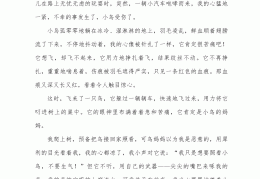 初心小说阅读题及答案大全(初心小说阅读题及答案大全及解析)