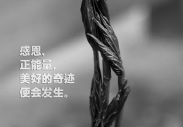 励志句子大全正能量100字图片(励志句子100字左右)