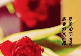 爱是一种信仰的图片配图(爱是是一种信仰说说)