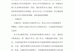 学前教育职业生涯规划策略实施(学前教育职业生涯规划计划与路径)