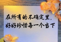 有深度有格局的句子长句摘抄(有格局有高度的文章)