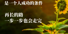 人生正能量句子(人生正能量句子带图片 人生感悟)