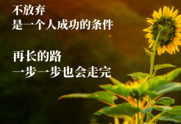 人生正能量句子(人生正能量句子带图片 人生感悟)