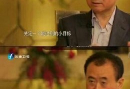 王健林定个小目标表情包(万王健林的小目标鬼畜视频)