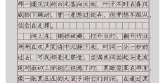 坚守信念作文(坚守信念作文素材)