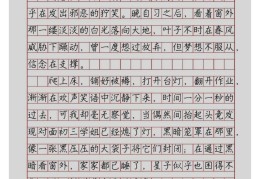 坚守信念作文(坚守信念作文素材)