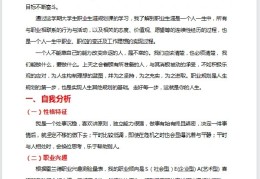 大学生的职业价值观3000字(大学生职业价值观概念)