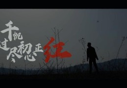 千帆过尽初心不悔(千帆过尽初心不悔出自哪里)