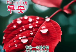 一天一个祝福语早上好(一天一个祝福语早上好新年祝福语)