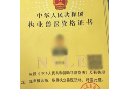 宠物医生问诊(宠物医生问诊咳嗽狗狗怎么问)