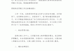 最简洁的个人试用期工作总结100字(简短的个人试用期工作总结)