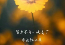 2024年最火的句子励志(2024年有什么重要的日子)