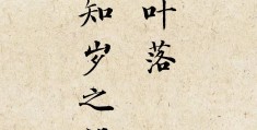 初心不变的名句有哪些成语(初心不变的名句有哪些成语大全)