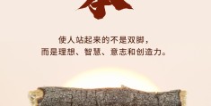 坚定的信念和顽强的意志力可以连用吗?(坚强的意志和坚定的信念是实现理想的重要保证)