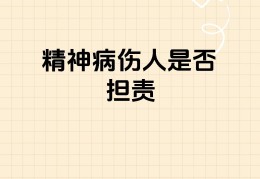 间歇性精神病的法律责任包括什么(间歇性精神病违法受处分吗)