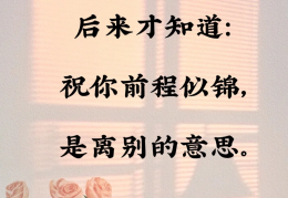 愿你前程似锦出自哪里(愿你前程似锦的意思)