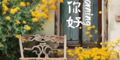 销售早上发的朋友圈正能量短句(销售早上发朋友圈的文案)