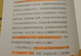 罗翔推荐的书人间失格的简单介绍