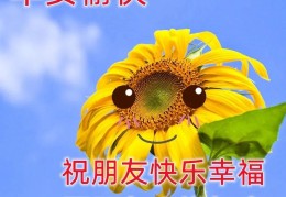 一句简短早安问候语(让人舒服的早安心语)