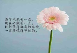 适合发朋友圈的人生感悟短句(适合发朋友圈的人生感悟短句不懂怎么办)