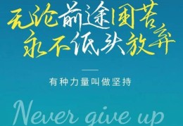 正能量的句子60字(正能量的句子60字可复制)