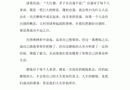 读励志文有感(有关励志文章的读后感)