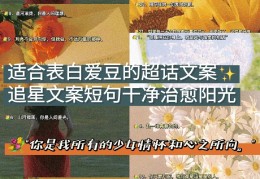 追星激励句子大全简短(追星励志语句)