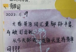 flag单词怎么读音(flag怎么读音发音英语怎么说)