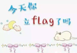 立flag说说(关于立flag搞笑的话)
