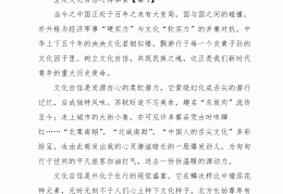 坚定文化自信800字作文怎么写的(坚定文化自信800字作文怎么写的好)