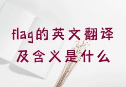 flag怎么读音发音英语怎么说(flag怎么读音发音英语怎么说呢)