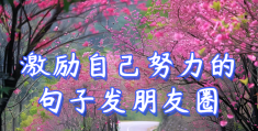 适合朋友励志的句子(适合朋友励志的句子有哪些)