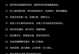 追星激励句子文案怎么写(追星励志语录经典短句)