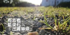 青春励志图片唯美女生(青春励志图片 阳光 梦想 正能量)