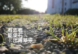 青春励志图片唯美女生(青春励志图片 阳光 梦想 正能量)