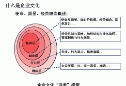 愿景集团价值观有哪些(愿景集团使命)