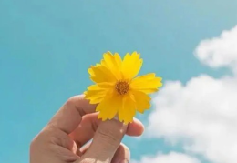 浅陌的图片大全唯美(浅陌做网名是什么意思)