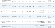 城投公司信用评级为aa代表什么(城投 评级)