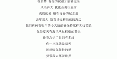 青春励志歌词中文版(青春励志歌词语录)
