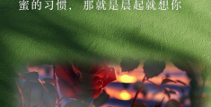一天一句暖心话问候朋友简单句子(一天一句暖心话问候朋友简单句子图片)