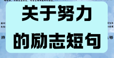 目标太明确(目标太明确往往)