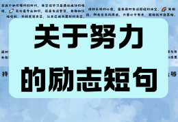 目标太明确(目标太明确往往)