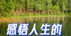 短短一句说透人生感悟的话语(感悟人生一句话说说)