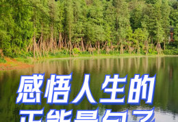 短短一句说透人生感悟的话语(感悟人生一句话说说)