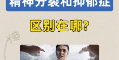 抑郁症和精分症(抑郁与精分)