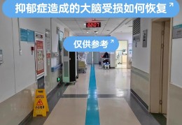 大脑神经紊乱怎么调整才能恢复好大肪钟经紊乱怎幺医冶(大脑神经紊乱怎么治)