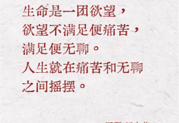 人生哲学意味着什么(人生哲学意味着什么当然离不开烟啦)