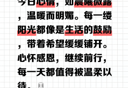 愿今天的你不负阳光(愿今天的努力不负将来的你英语)