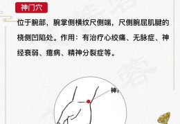 精神衰弱怎样调理身体最有效(精神衰弱怎样调理身体最有效的方法)